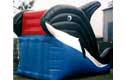 Ballena Inflable